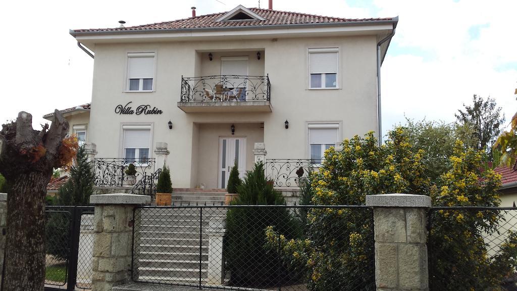 Villa Rubin Panzio Hajduszoboszlo Bagian luar foto